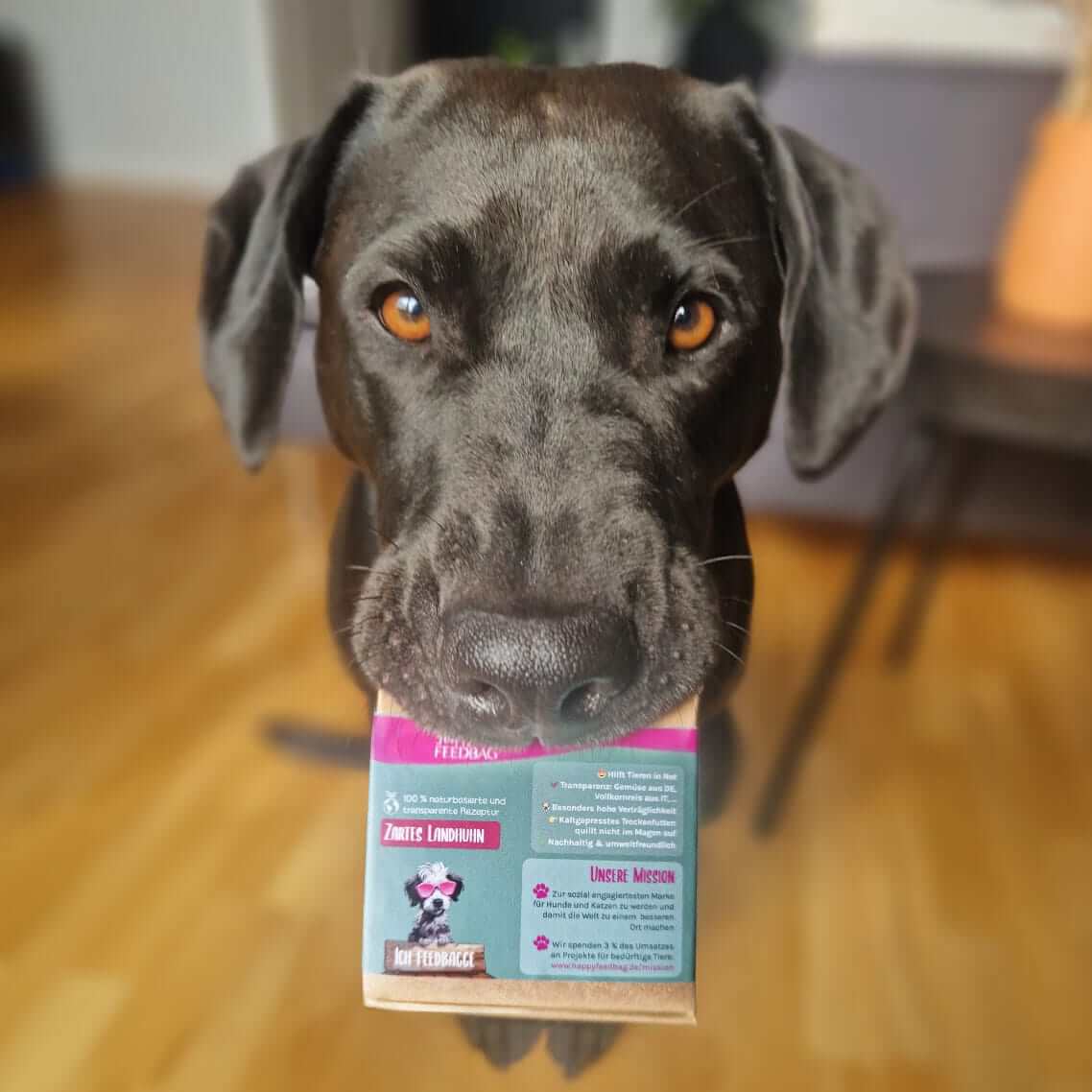 GRATIS Probierboxen kaltgepresstes Trockenfutter