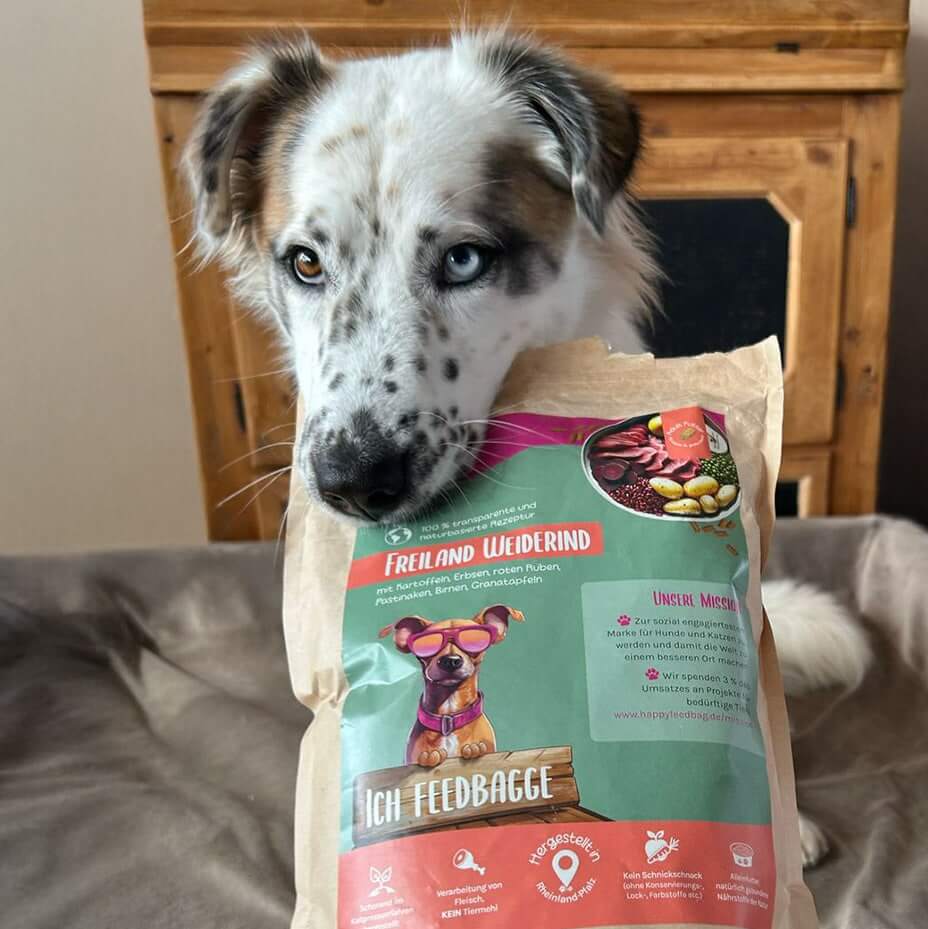 Kennenlernpaket "Freilandrind"