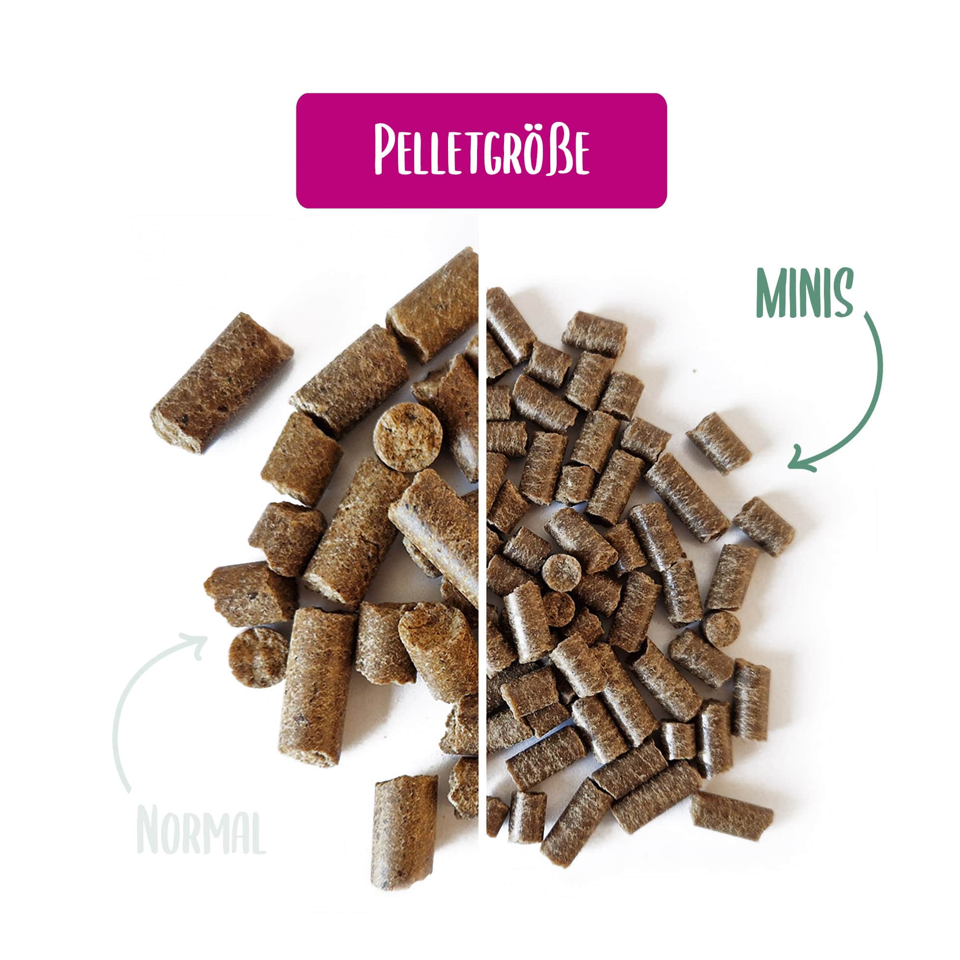 Kennenlernpaket 2 kg Trockenfutter + 2x 400 g Nassfutter