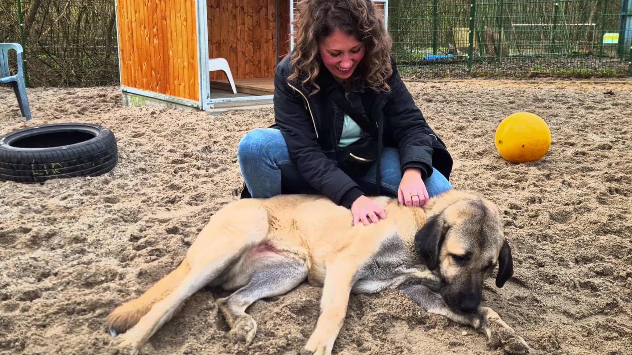 HappyFeedbag_Kooperation Tierschutz und Tierheim