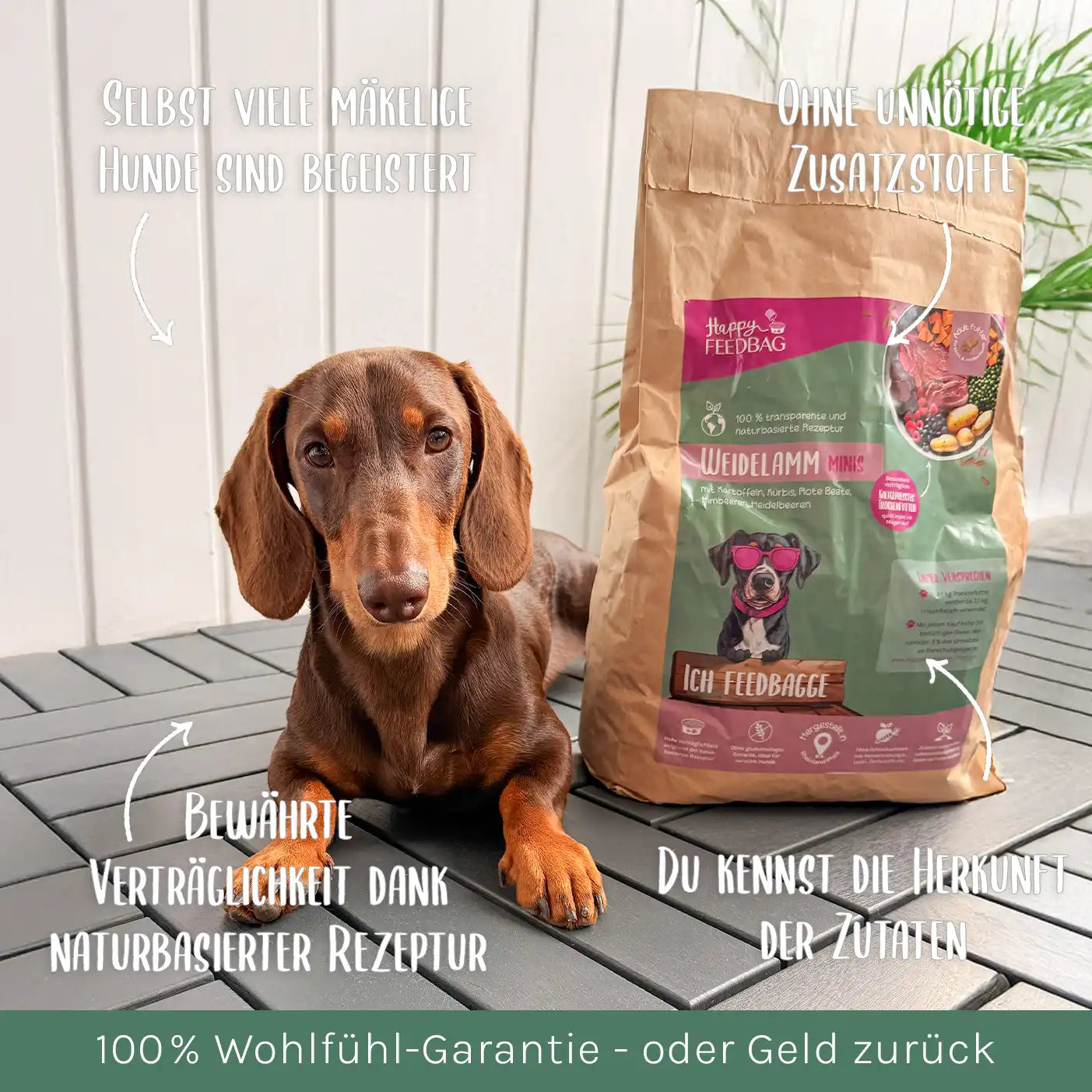 Weidelamm MINIS Trockenfutter