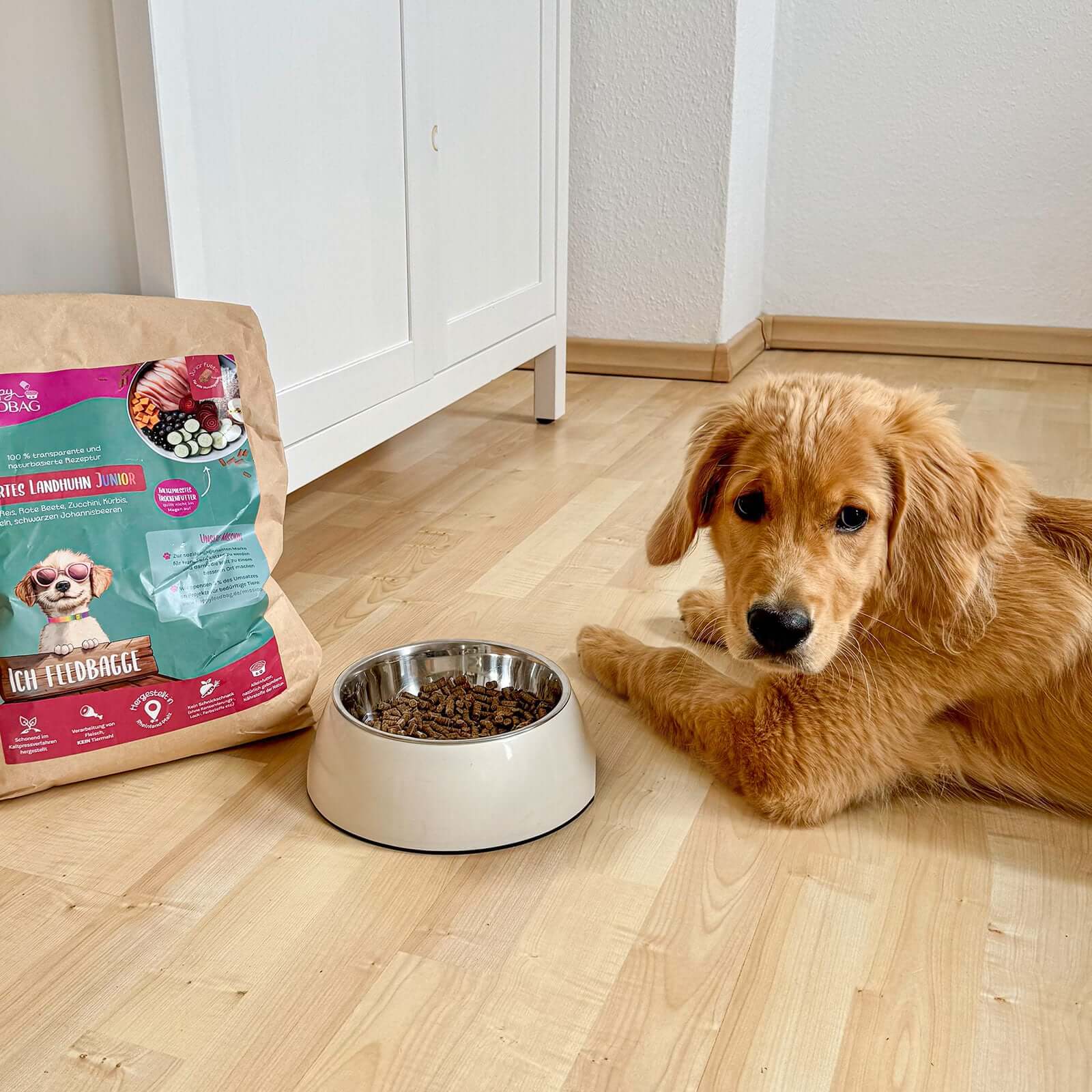 Welpen-Starterset 10 kg