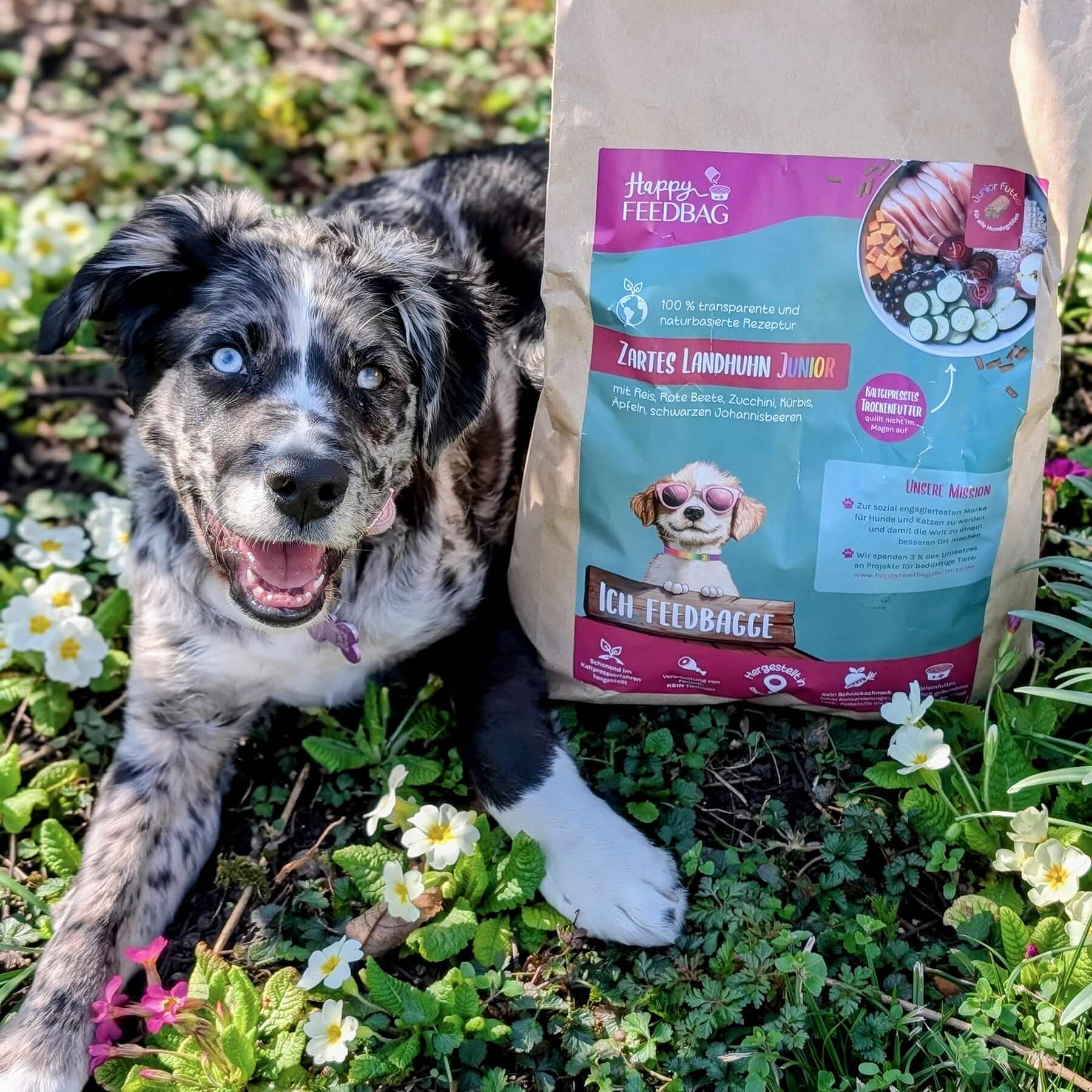 Welpen-Starterset 2 kg