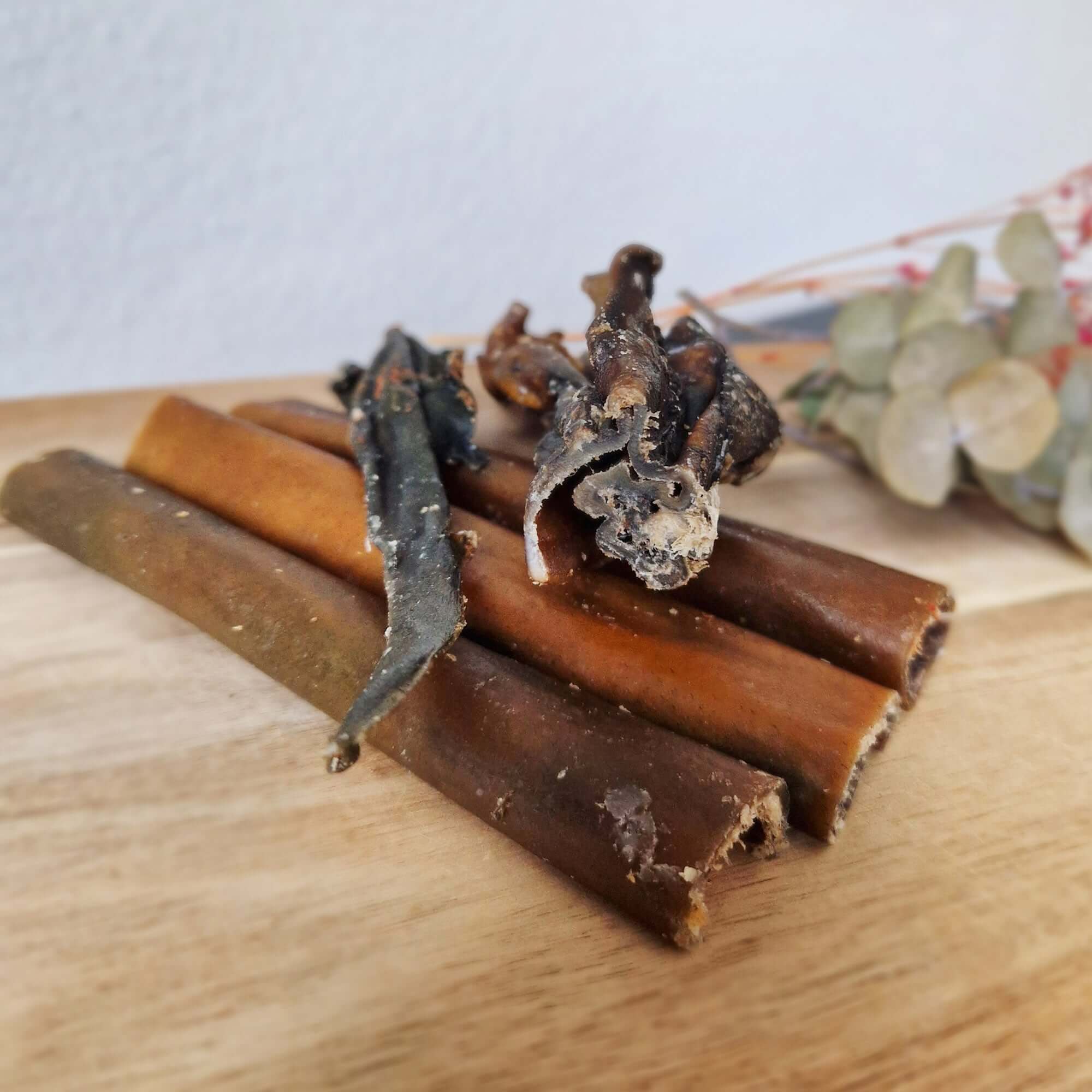 Kennenlernpaket "Starte Wild"🦌