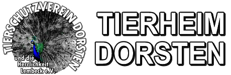 HappyFeedbag_Tierheim_Dorsten_Katzen