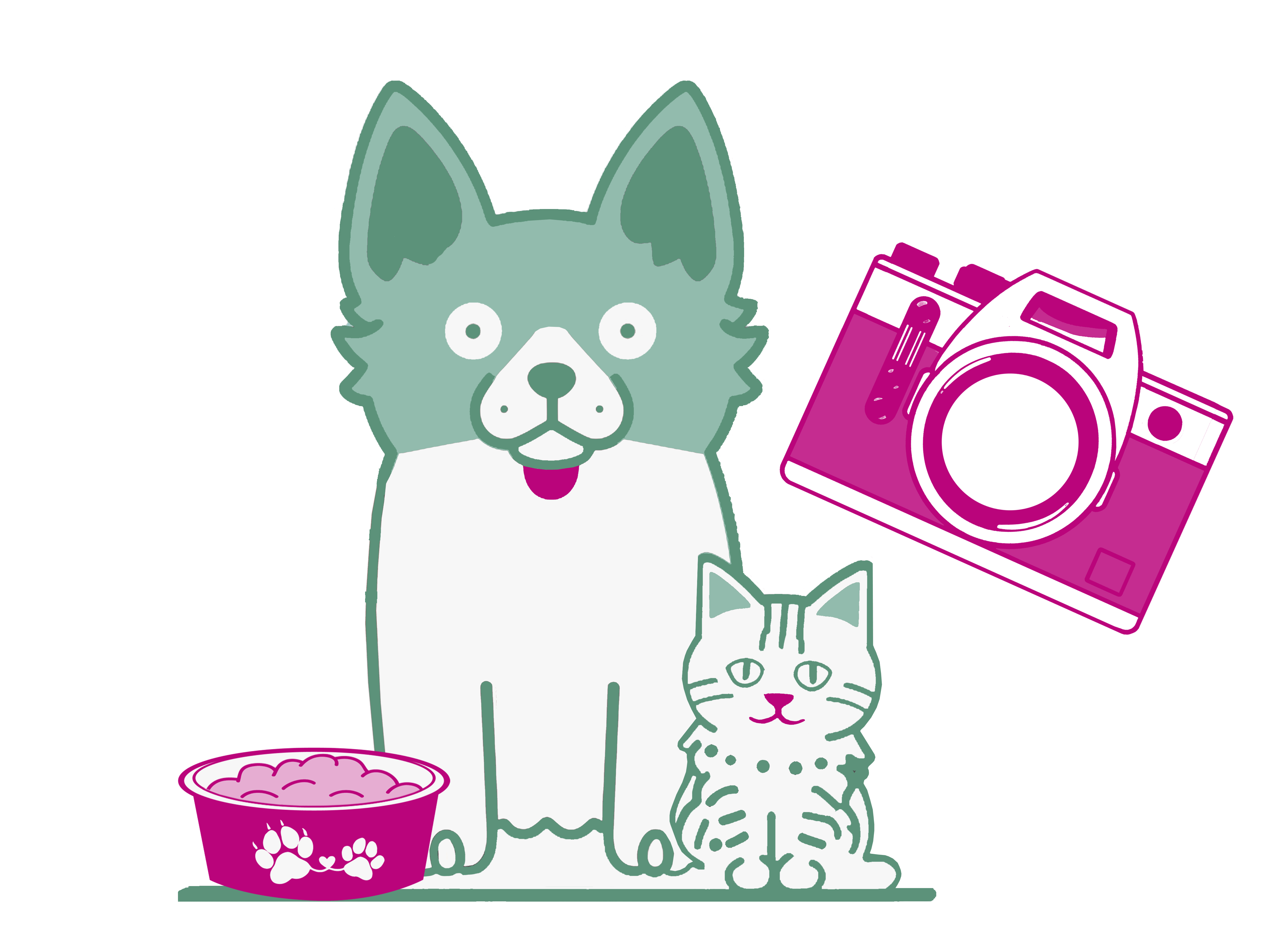 Foto deiner Katze oder deines Hundes machen und Futterpaket von Feedbag gewinnen