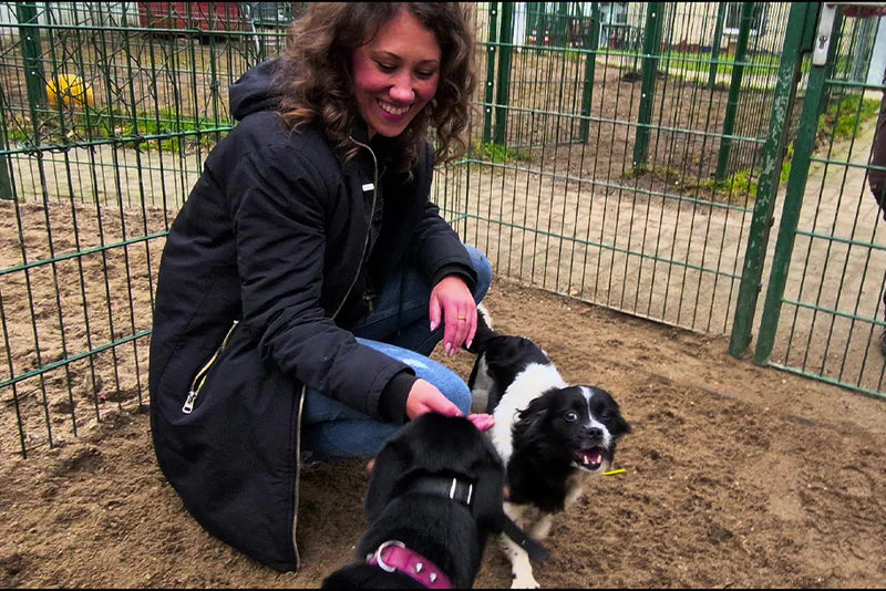 HappyFeedbag_Kooperation Tierschutz und Tierheim