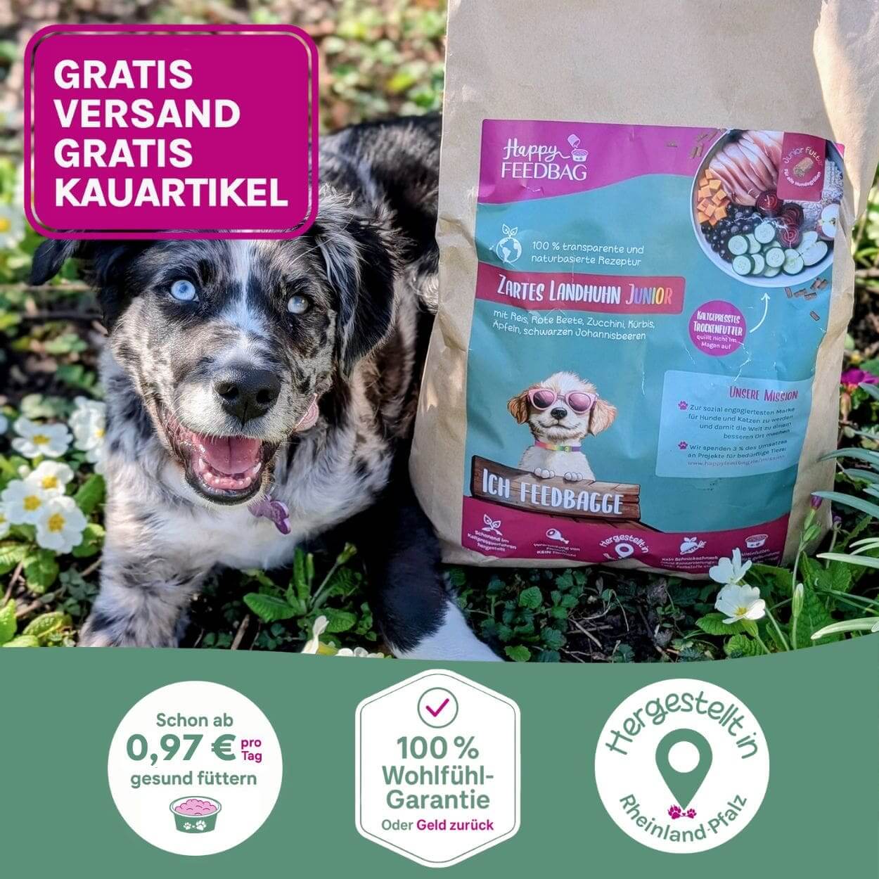 Welpen-Starterset 5 kg
